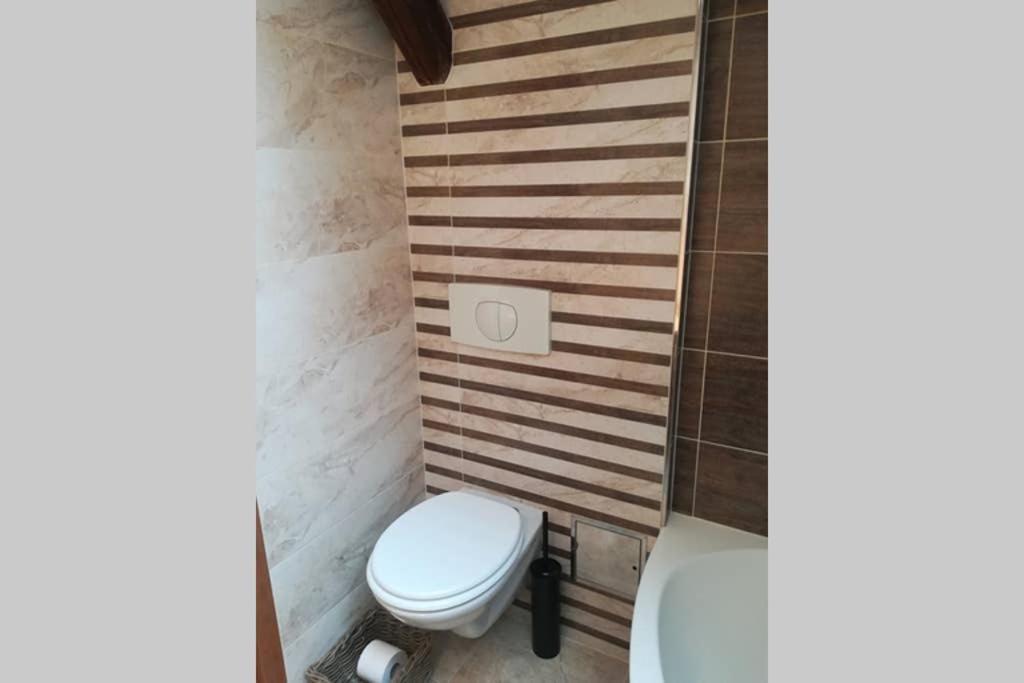 Vip Apartment In Old Town With Free Parking Братислава Екстер'єр фото