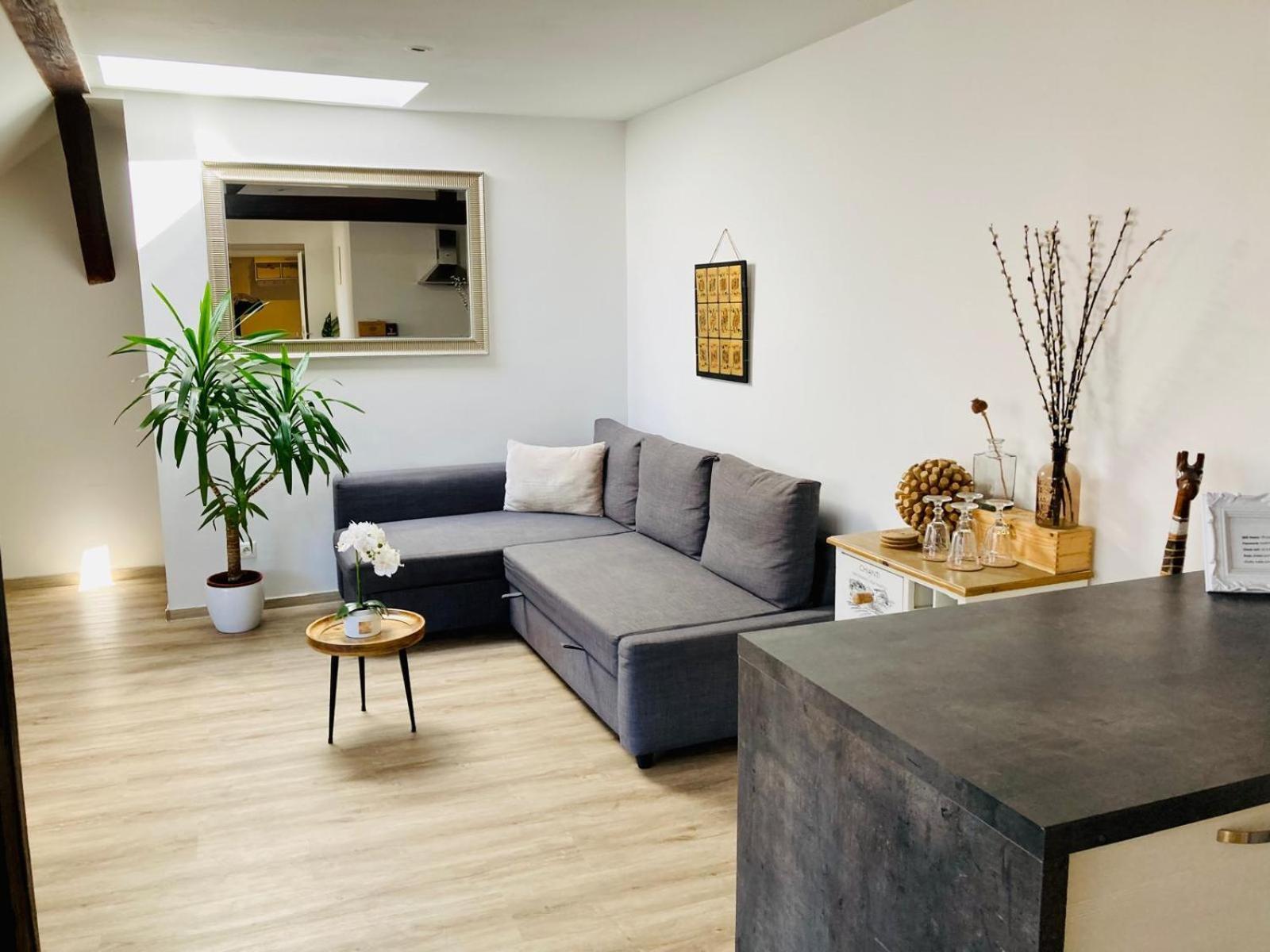Vip Apartment In Old Town With Free Parking Братислава Екстер'єр фото