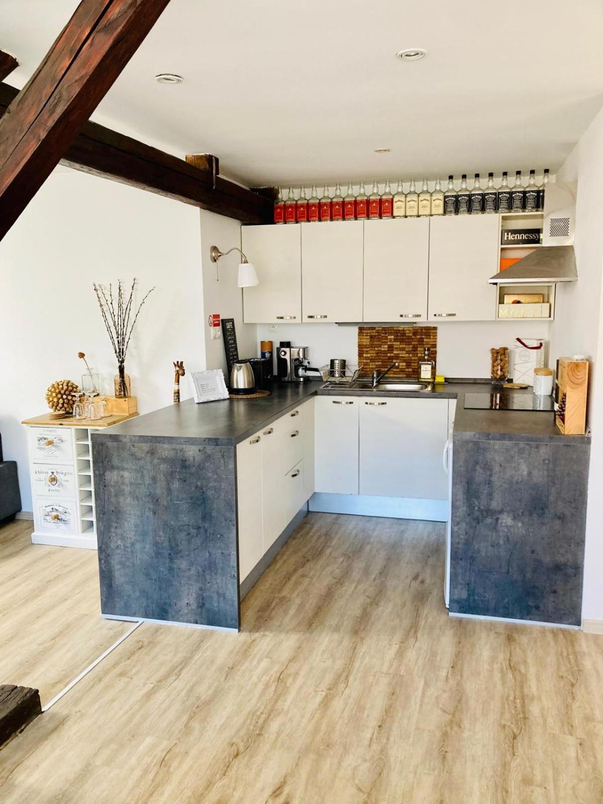Vip Apartment In Old Town With Free Parking Братислава Екстер'єр фото