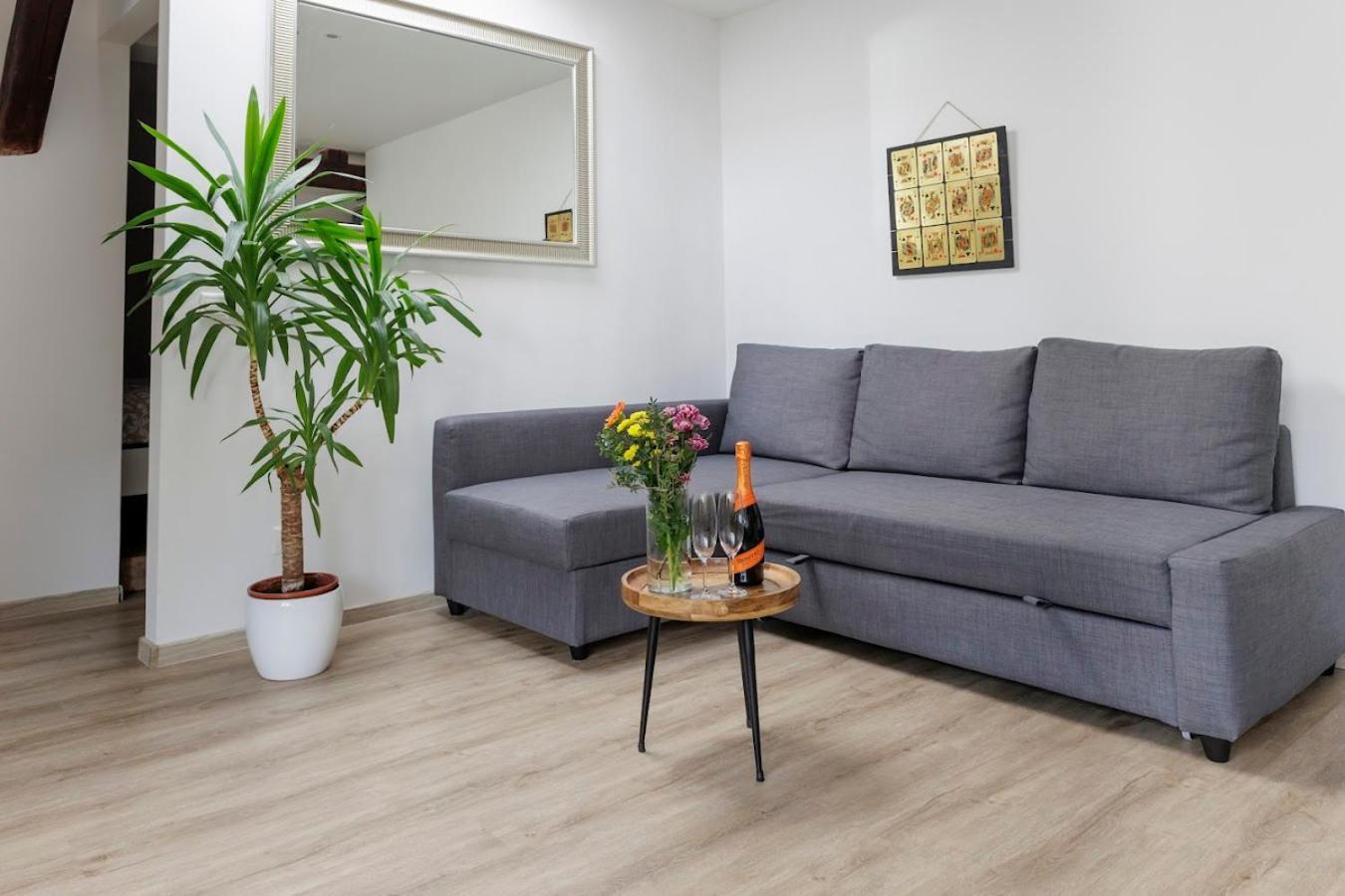 Vip Apartment In Old Town With Free Parking Братислава Екстер'єр фото